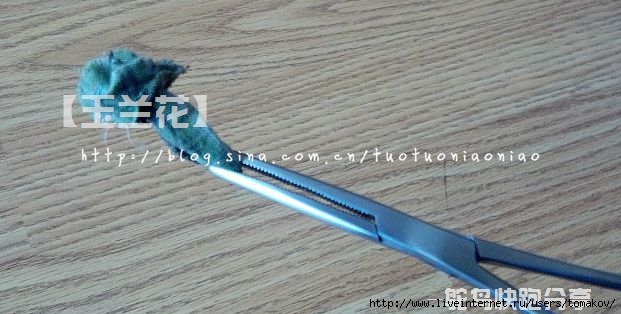 001Jd6hjzy6HsIIcjKle5&690 (621x314, 130Kb)