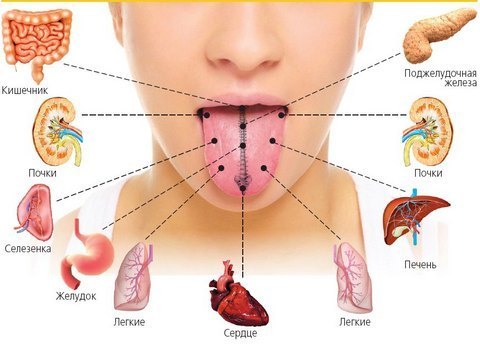 здоровье по языку