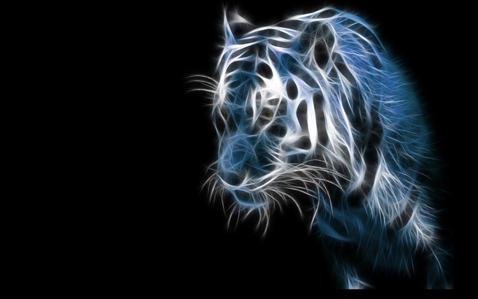 111255926_Tiger (699x437, 134Kb)