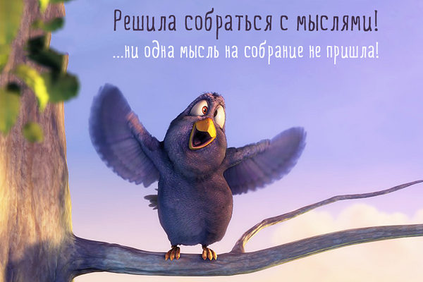 http://img0.liveinternet.ru/images/attach/c/10/111/471/111471624_5332158_bird2.png