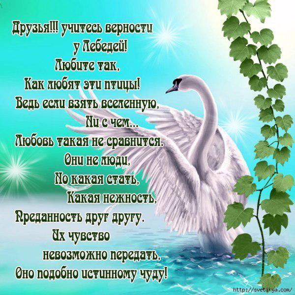 Как поздравлять православных с днем рождения Как поздравлять православных с днем рождения