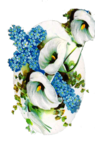  0_86d7a_4b066f49_XXL (447x700, 411Kb)