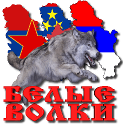 3996605_Belie_Volki_Serbiya_by_MerlinWebDesigner3 (250x250, 27Kb)