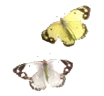 78754a6e8ed8 (147x135, 25Kb)