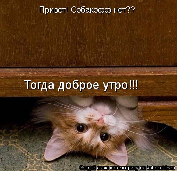 http://img0.liveinternet.ru/images/attach/c/10/111/668/111668646_a16eb0d041d6.jpg