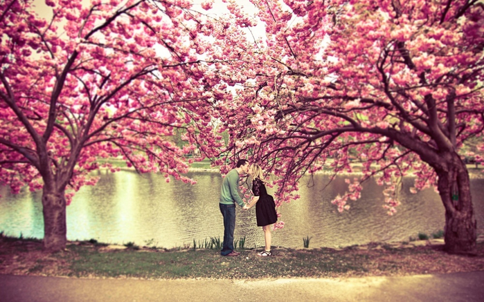 4379105-R3L8T8D-1000-sakura-tree-flower-spring-pond-couple-kiss-love-nature (700x437, 449Kb)