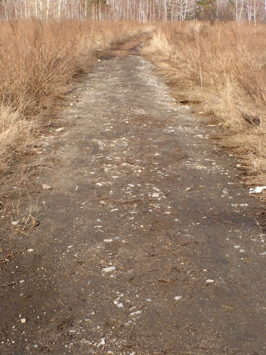1415502_3 (525x700, 226Kb)