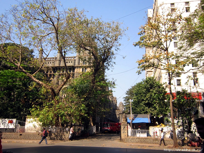 Mumbai 2014 (23) (700x525, 476Kb)