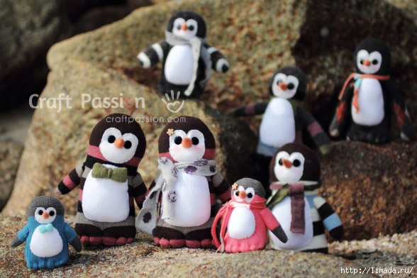 sock-penguin-group-photo (588x392, 172Kb)