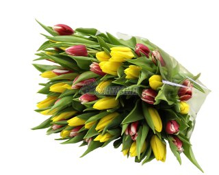 Букеты свежих цветов от Цветочной ФАНТАЗИИ (5) (320x256, 72Kb)