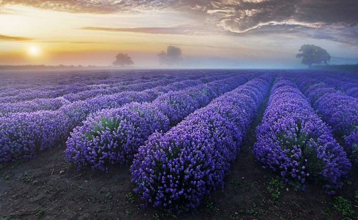20mestgdenasnetu-10 (700x431, 105Kb)