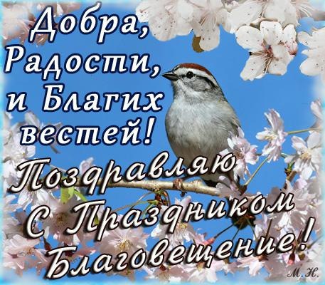 http://img0.liveinternet.ru/images/attach/c/10/111/838/111838648_aM4zc26098A.jpg