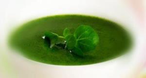 2910660_Soupecresson (300x160, 11Kb)