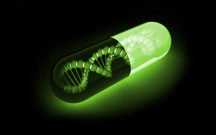 Молекулы ДНК — биологическая флешка?