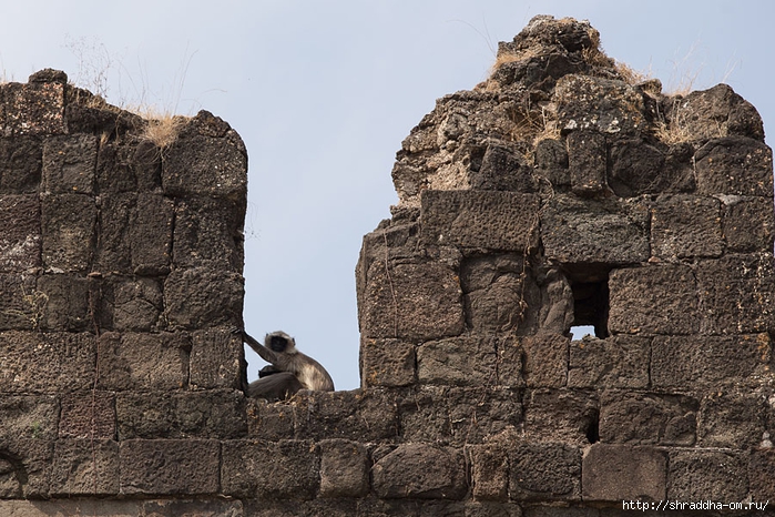 Daulatabad fort 2014 (10) (700x466, 337Kb)