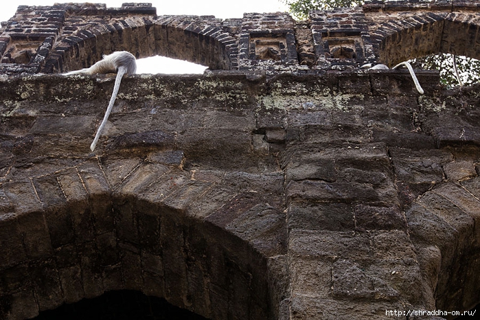 Daulatabad fort 2014 (13) (700x466, 352Kb)