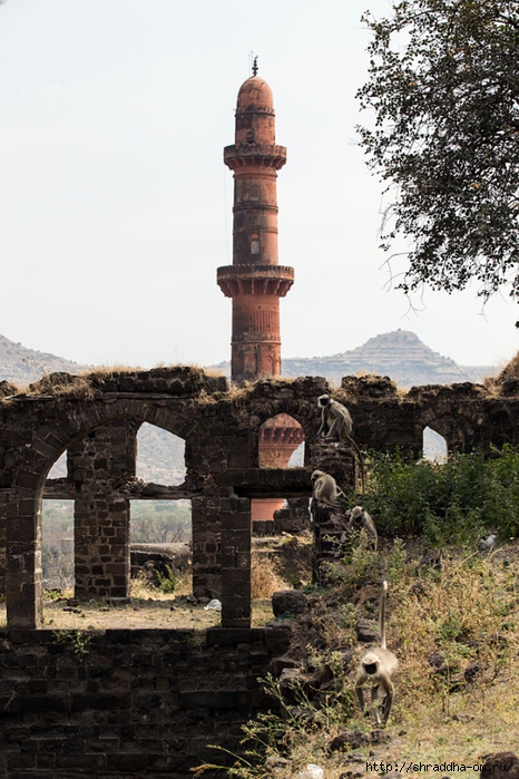 Daulatabad fort 2014 (15) (466x700, 288Kb)
