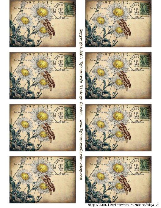 daisies SHEET (541x700, 380Kb)
