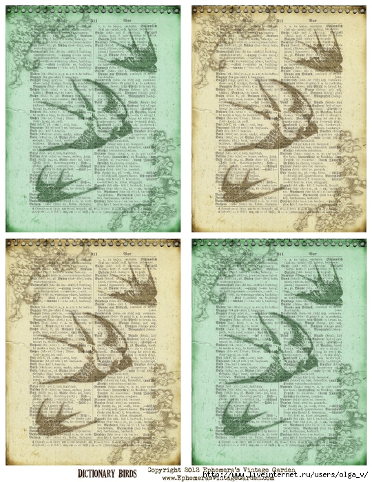 DictionaryBirds (540x700, 385Kb)