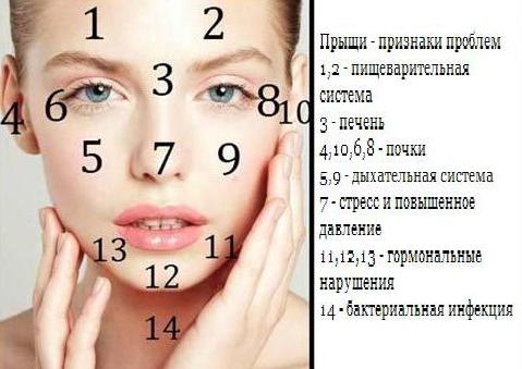 На шее мелкие прыщи что это такое На шее мелкие прыщи что это такое