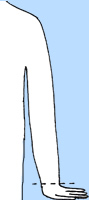 4045361_3008 (89x200, 5Kb)