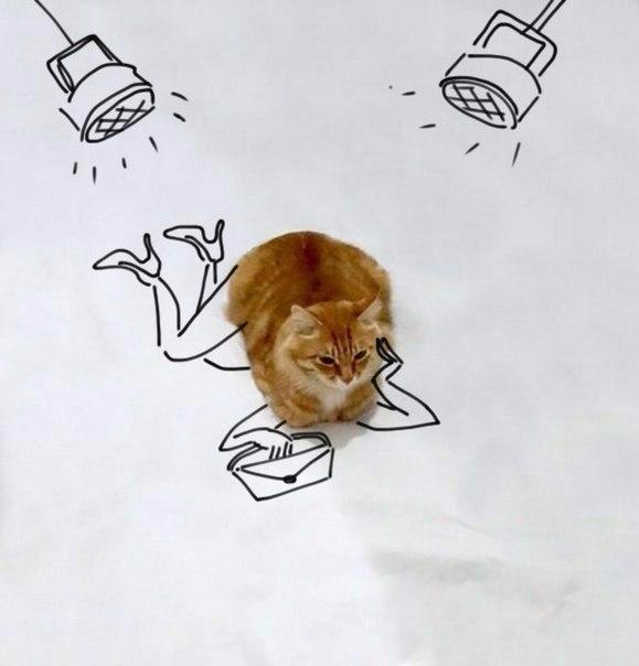 смешные кошки 1 (579x604, 128Kb)