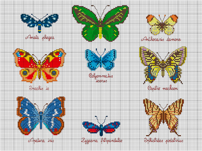 farfalle (700x525, 490Kb)