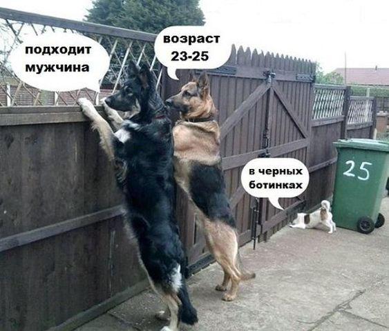 5954798_rGOGwLDa6o0 (563x480, 48Kb)