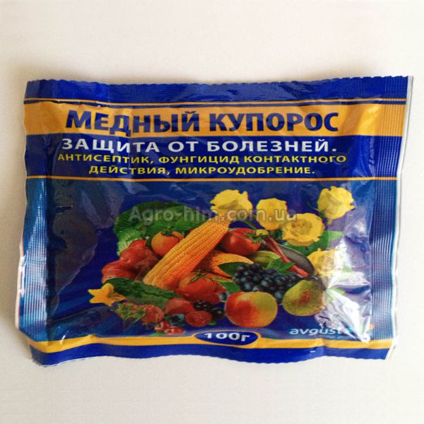 5954798__3_ (600x600, 65Kb)