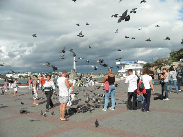 39159_original (640x480, 54Kb)