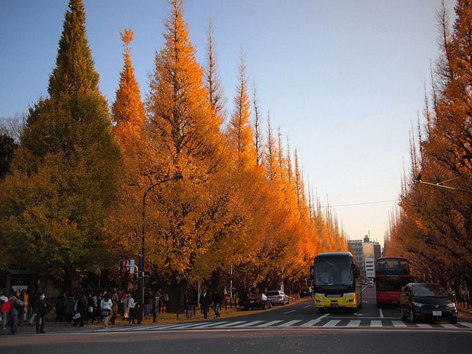 2 (670x503, 318Kb)