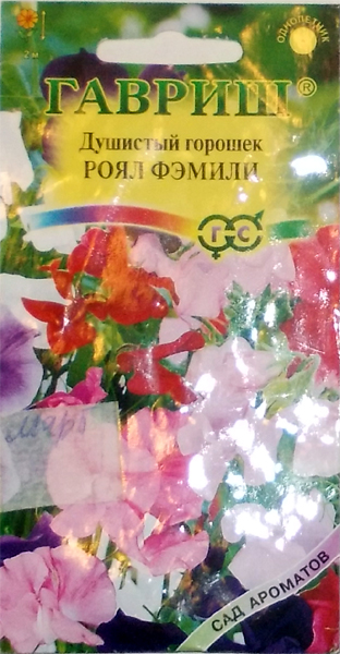 Прикольные конкурсы на девичник подруги Прикольные конкурсы на девичник подруги