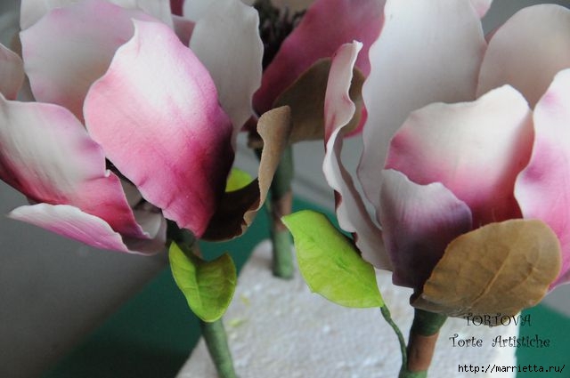 Цветы МАГНОЛИИ из сахарной мастики или холодного фарфора (14) (640x425, 112Kb)