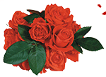 5663931_roses_and_petals_by_kmygraphicd77dk73 (150x108, 524Kb)