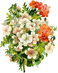 5663931_bouquet_by_kmygraphicd742pmu (120x150, 239Kb)