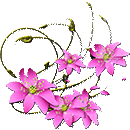 5663931_pink_flowers_by_kmygraphicd7frxo1 (130x130, 120Kb)
