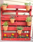 Превью vertical-garden-wooden-pallets-red-painted-clay-pots (548x700, 335Kb)