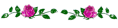 7043 (399x97, 17Kb)