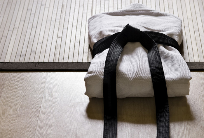 judogi-ceinture-judo-323 (700x475, 289Kb)