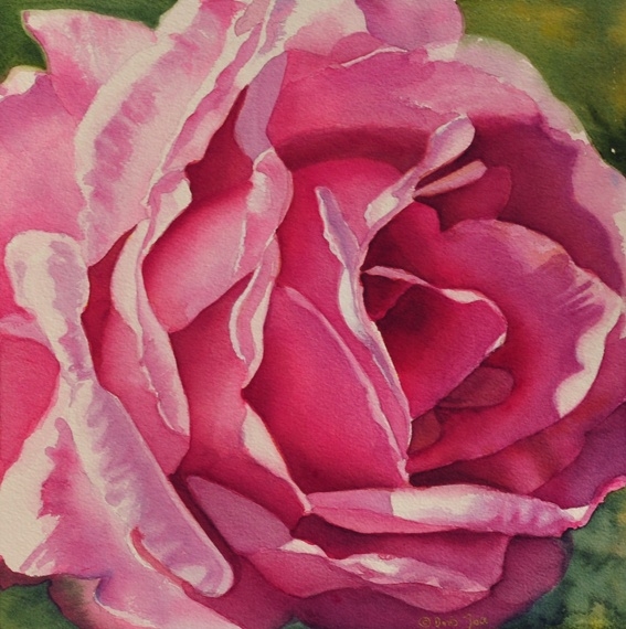 Doris Joa Aquarell Rosen8 (567x570, 221Kb)