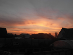  SAM_0894 (700x525, 226Kb)