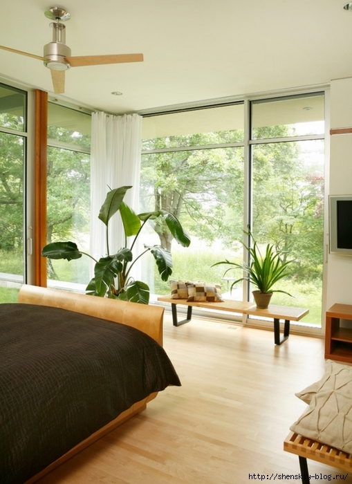 modern-bedroom-house-plants-interior-decoration-accents (509x700, 256Kb)