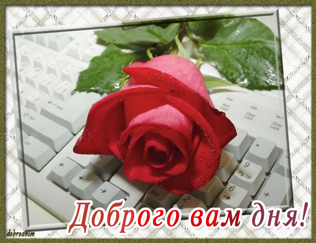 Доброго вам дня открытки Доброго вам дня открытки