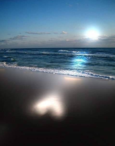 3303834_sea_8 (478x604, 39Kb)