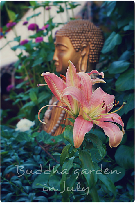 3 (465x700, 93Kb)