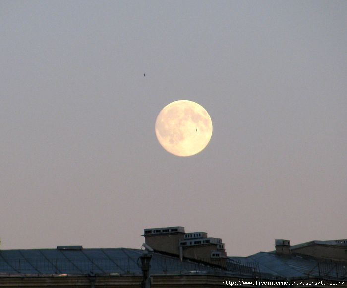 . . 12 /1413032_IMG_1583_m2 (700x581, 94Kb)