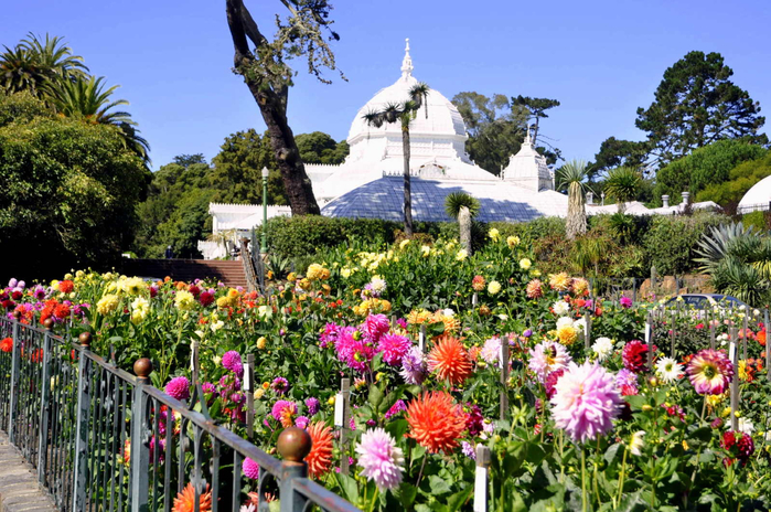 ботанический сад сан-франциско фото 14 (700x464, 508Kb)