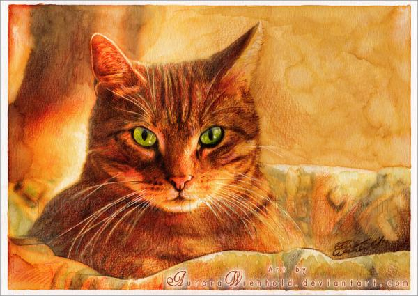 cat_at_sunset_by_aurorawienhold600_4251 (600x425, 265Kb)