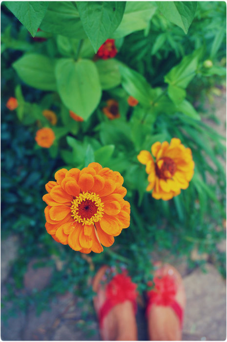 3 (465x700, 72Kb)