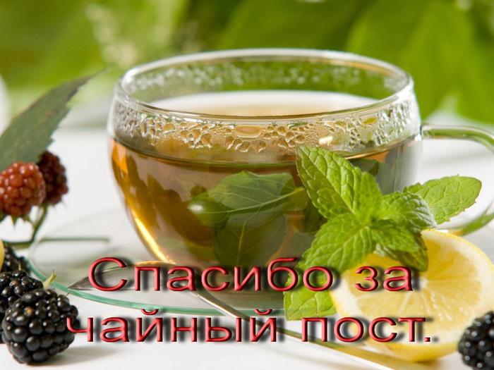 Food_Drinks_Tea_with_mint_023595_ (700x525, 116Kb)